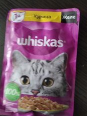 Корм для животных Whiskas, 75 г, для взрослых кошек 1+, кусочки в желе, курица, пауч, G8459 - фото 1 от пользователя