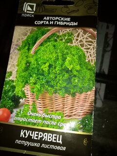 Семена Петрушка листовая, Кучерявец, 3 г, цветная упаковка, Поиск - фото 2 от пользователя