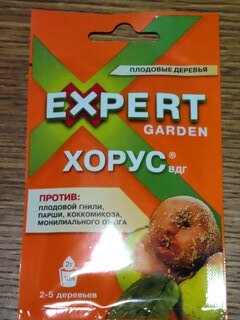 Фунгицид Хорус, от болезней плодовых культур, 2 г, Expert Garden - фото 7 от пользователя