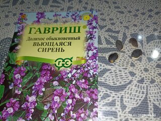 Семена Цветы, Долихос, Гиацинтовые бобы, Вьющаяся сирень, Цветочная коллекция, цветная упаковка, Гавриш - фото 1 от пользователя