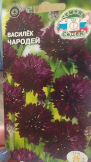 Семена Цветы, Василек, Чародей, цветная упаковка, Седек - фото 1 от пользователя