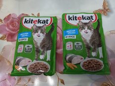 Корм для животных Kitekat, 85 г, для кошек, рыба в соусе, пауч - фото 5 от пользователя