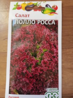 Семена Салат, Лолло Росса, 0.5 г, Удачные семена, листовой, бордовые, цветная упаковка, Гавриш - фото 6 от пользователя