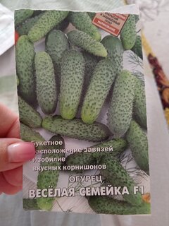Семена Огурец, Веселая семейка F1, цветная упаковка, Поиск - фото 8 от пользователя