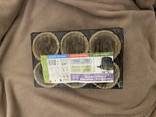 Набор для рассады 6 шт, 80 мм, 6 стаканчиков, с поддоном, с подставкой, ГазонCity - фото 9 от пользователя