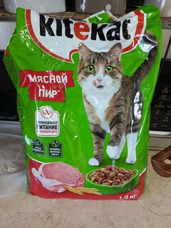 Корм для животных Kitekat, 1900 г, для взрослых кошек, сухой, мясной пир, пакет, 10132142 - фото 5 от пользователя