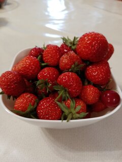 Салатник пластик, квадратный, 6.5 см, 0.5 л, Cake, Berossi, ИК 39733000, слоновая кость - фото 9 от пользователя