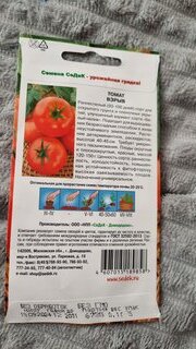 Семена Томат, Взрыв, 0.1 г, цветная упаковка, Седек - фото 5 от пользователя