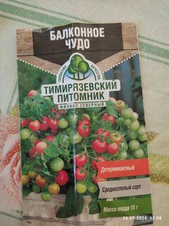 Семена Томат, Балконное Чудо, 0.1 г, цветная упаковка, Тимирязевский питомник - фото 1 от пользователя