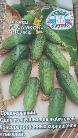 Семена Огурец, Самкон Пчёлка, цветная упаковка, Седек - фото 5 от пользователя