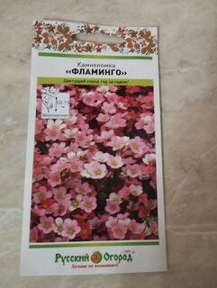 Семена Цветы, Камнеломка, Фламинго, смесь, цветная упаковка, Русский огород - фото 7 от пользователя