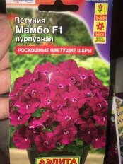 Семена Цветы, Петуния, Мамбо пурпурная многоцветковая F1, 7 шт, цветная упаковка, Аэлита - фото 3 от пользователя