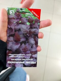 Семена Базилик, Пурпурные звезды, 0.1 г, цветная упаковка, Поиск - фото 8 от пользователя