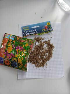 Семена Газон, Детская лужайка, 30 г, цветущие, цветная упаковка, Русский огород - фото 4 от пользователя