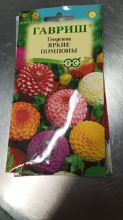 Семена Цветы, Георгина, Яркие помпоны, 0.2 г, Цветочная коллекция, цветная упаковка, Гавриш - фото 7 от пользователя