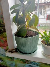 Горшок для цветов пластик, 4.5 л, 21х16.5 см, фисташковый, Idea, Вязание, М 3122 - фото 3 от пользователя
