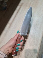 Нож кухонный Daniks, Wood, шеф-нож, нержавеющая сталь, 20 см, рукоятка дерево, 160939-1 - фото 1 от пользователя