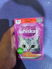 Корм для животных Whiskas, 75 г, для взрослых кошек 1+, паштет, говядина/печень, пауч, G8474 - фото 2 от пользователя