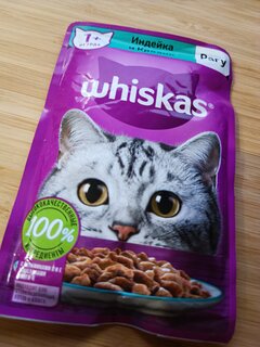 Корм для животных Whiskas, 75 г, для взрослых кошек 1+, рагу, индейка/кролик, пауч, G8484 - фото 1 от пользователя