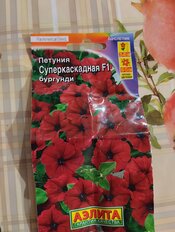 Семена Цветы, Петуния, Суперкаскадная бургунди F1, цветная упаковка, Аэлита - фото 9 от пользователя