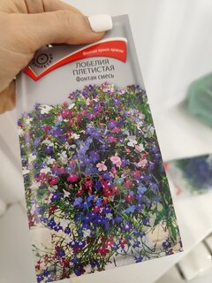 Семена Цветы, Лобелия плетистая, Фонтан, 0.1 г, смесь, цветная упаковка, Поиск - фото 7 от пользователя