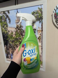 Пятновыводитель Grass, G-oxi spray, 600 мл, жидкость, для цветного, кислородный, 125495 - фото 1 от пользователя