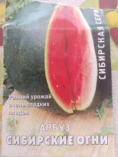 Семена Арбуз, Сибирские огни, Сибирская, цветная упаковка, Поиск - фото 8 от пользователя