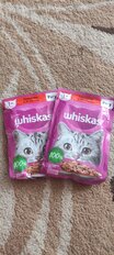 Корм для животных Whiskas, 75 г, для взрослых кошек 1+, рагу, говядина/ягнятина, пауч, G8477 - фото 2 от пользователя