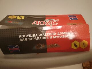 Инсектицид Клеелов, от муравьев и тараканов, клеевая ловушка - фото 9 от пользователя