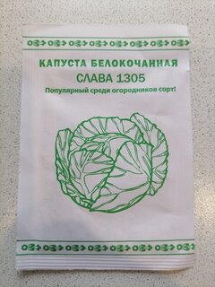 Семена Капуста белокочанная, Слава 1305, 0.3 г, Первая цена, белая упаковка, Русский огород - фото 2 от пользователя