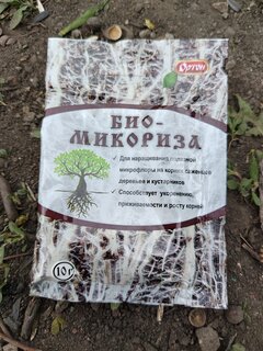 Удобрение Биомикориза, 10 г, Ортон - фото 3 от пользователя
