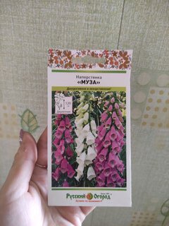 Семена Цветы, Наперстянка, Пурпурная Муза, 0.1 г, цветная упаковка, Русский огород - фото 3 от пользователя