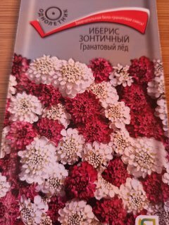 Семена Цветы, Иберис, Гранатовый лед, 0.1 г, зонтичные, цветная упаковка, Поиск - фото 1 от пользователя