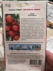 Семена Томат, Вспышка, 0.1 г, цветная упаковка, Седек - фото 6 от пользователя