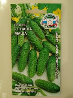 Семена Огурец, Наша Маша F1, 0.2 г, цветная упаковка, Седек - фото 7 от пользователя