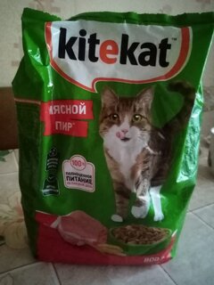 Корм для животных Kitekat, 800 г, для взрослых кошек, сухой, мясной пир, пакет, 10132140 - фото 4 от пользователя