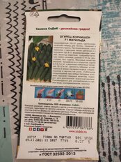 Семена Огурец, Матильда F1, цветная упаковка, Седек - фото 6 от пользователя