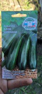 Семена Кабачок-цуккини, Блэк, цветная упаковка, Седек - фото 8 от пользователя