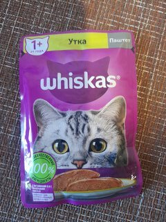 Корм для животных Whiskas, 75 г, для взрослых кошек 1+, паштет, утка, пауч, G8473 - фото 3 от пользователя