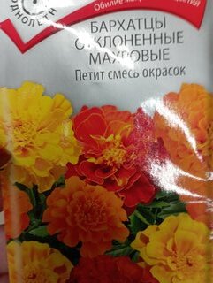 Семена Цветы, Бархатцы, Петит, 0.4 г, смесь окрасок, цветная упаковка, Поиск - фото 1 от пользователя