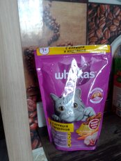 Корм для животных Whiskas, 350 г, для взрослых кошек 1+, сухой, курица/индейка, подушечки с паштетом, пакет - фото 8 от пользователя