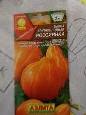 Семена Тыква крупноплодная, Россиянка, 1 г, цветная упаковка, Аэлита - фото 9 от пользователя
