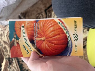 Семена Тыква, Осенний пирог, 2 г, Семена от автора, цветная упаковка, Гавриш - фото 4 от пользователя