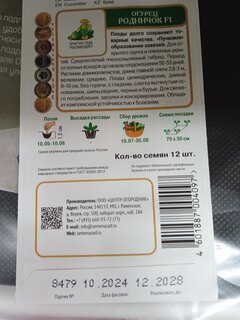 Семена Огурец, Родничок F1, цветная упаковка, Поиск - фото 4 от пользователя