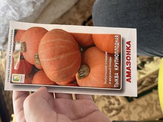 Семена Тыква крупноплодная, Амазонка, цветная упаковка, Поиск - фото 9 от пользователя