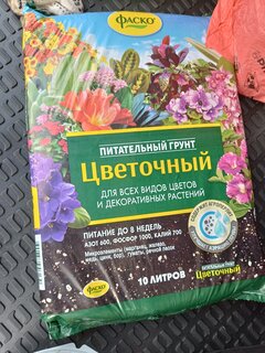 Грунт Цветочный, для комнатных растений, 10 л, Фаско - фото 1 от пользователя