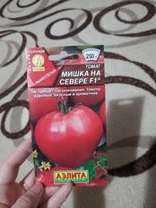 Семена Томат, Мишка на севере F1, 10 шт, цветная упаковка, Аэлита - фото 4 от пользователя