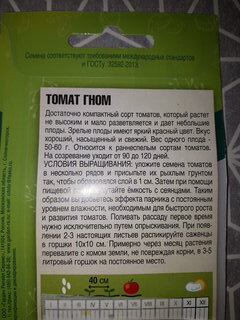 Семена Томат, Гном, 0.1 г, Домашняя грядка, цветная упаковка, Тимирязевский питомник - фото 8 от пользователя