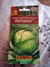 Семена Капуста белокочанная, Купчиха, 0.3 г, смесь, цветная упаковка, Аэлита - фото 6 от пользователя