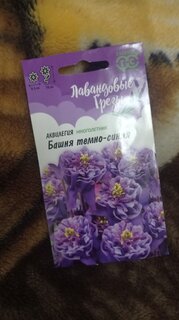 Семена Цветы, Аквилегия, Лавандовые грезы, 0.05 г, темно-синяя, обыкновенная, цветная упаковка, Гавриш - фото 7 от пользователя